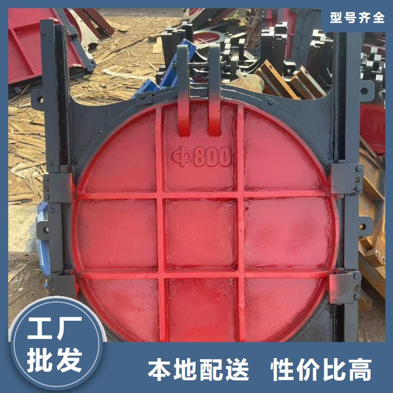 河道铸铁闸门-止水带橡胶售后无忧