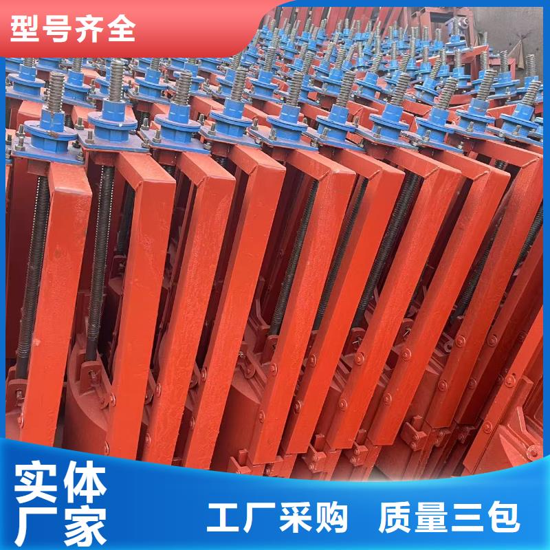 铸铁镶铜闸门-暗杆铸铁镶铜闸门技术领先