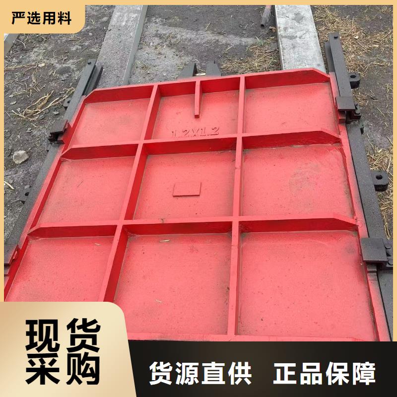 订购机门一体铸铁闸门