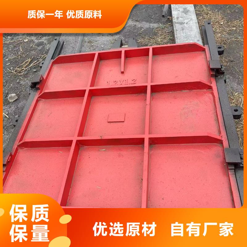 河道铸铁闸门-sfz铸铁镶铜方形闸门精益求精