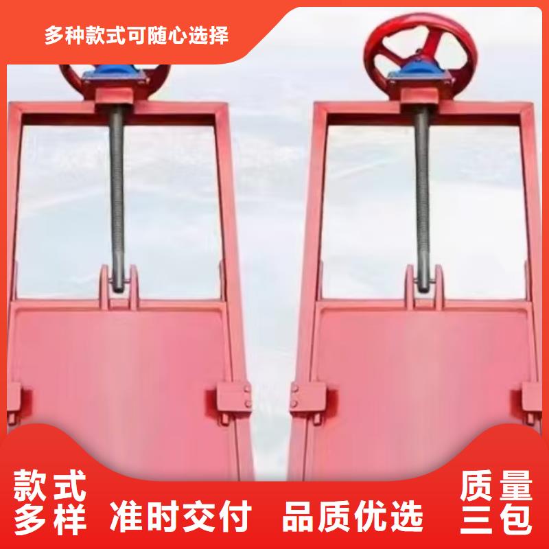 铸铁镶铜园闸门
