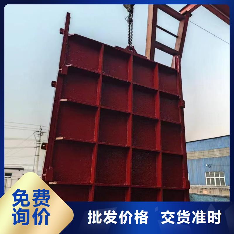 反向止水闸门