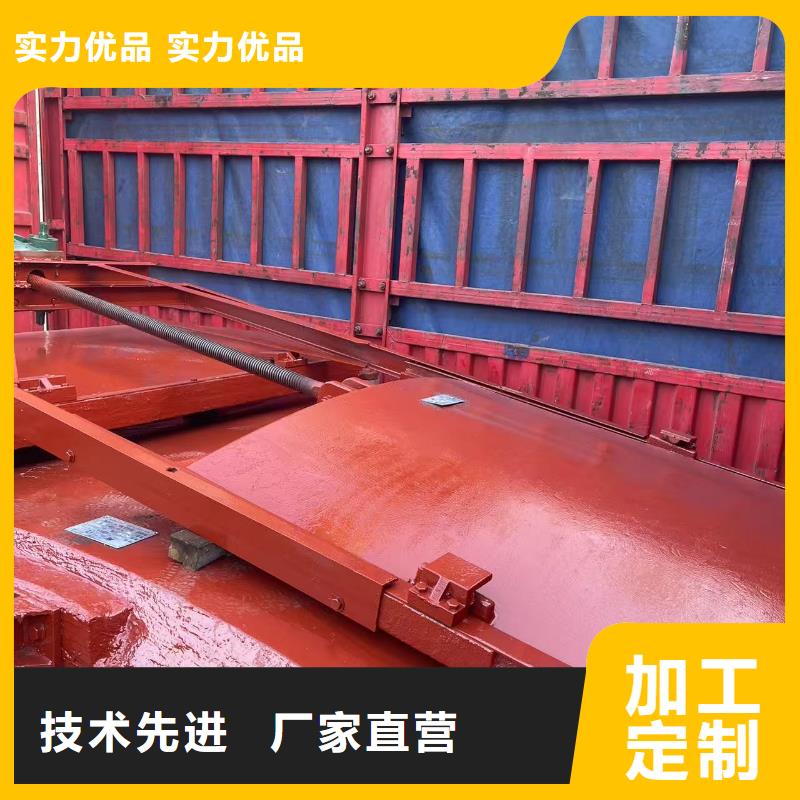 启闭机闸门-镶铜双向铸铁闸门一站式解决方案