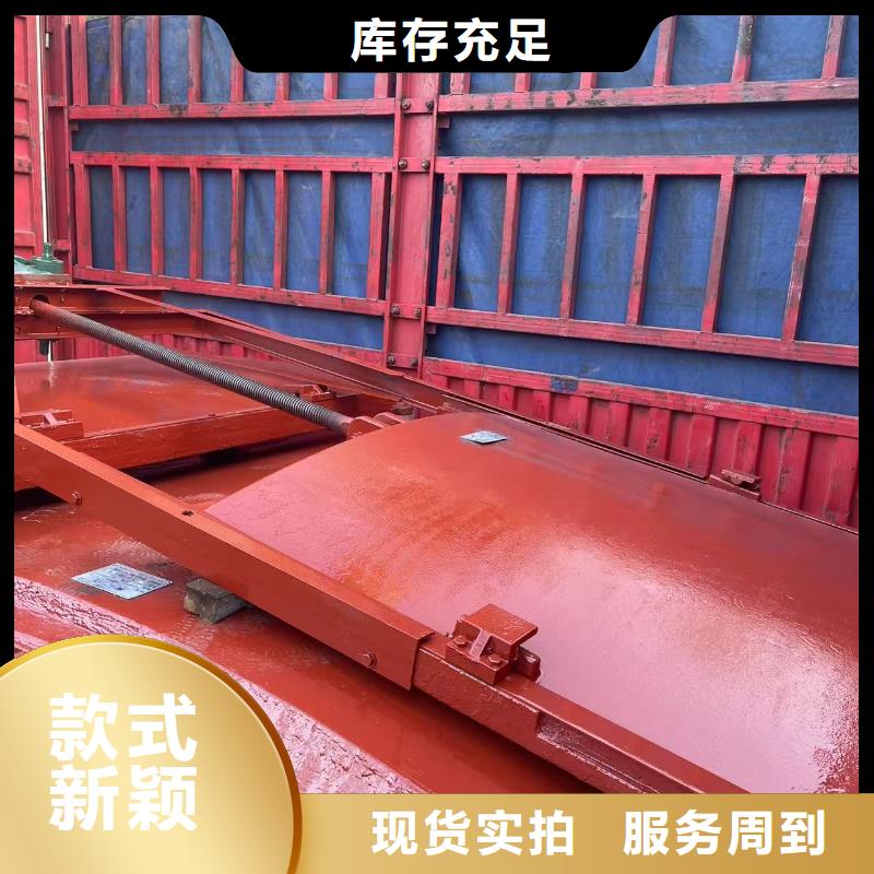 反向止水闸门