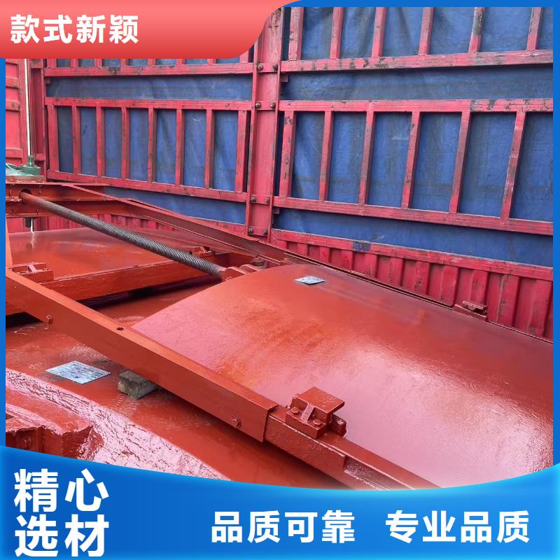 渠道闸门-双向止水铸铁镶铜闸门经验丰富