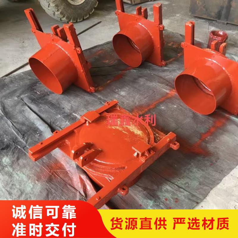 双向铸铁镶铜闸门