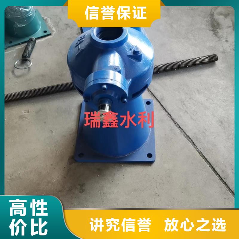 启闭机闸门带遥控螺杆式启闭机满足不同水利工程需求