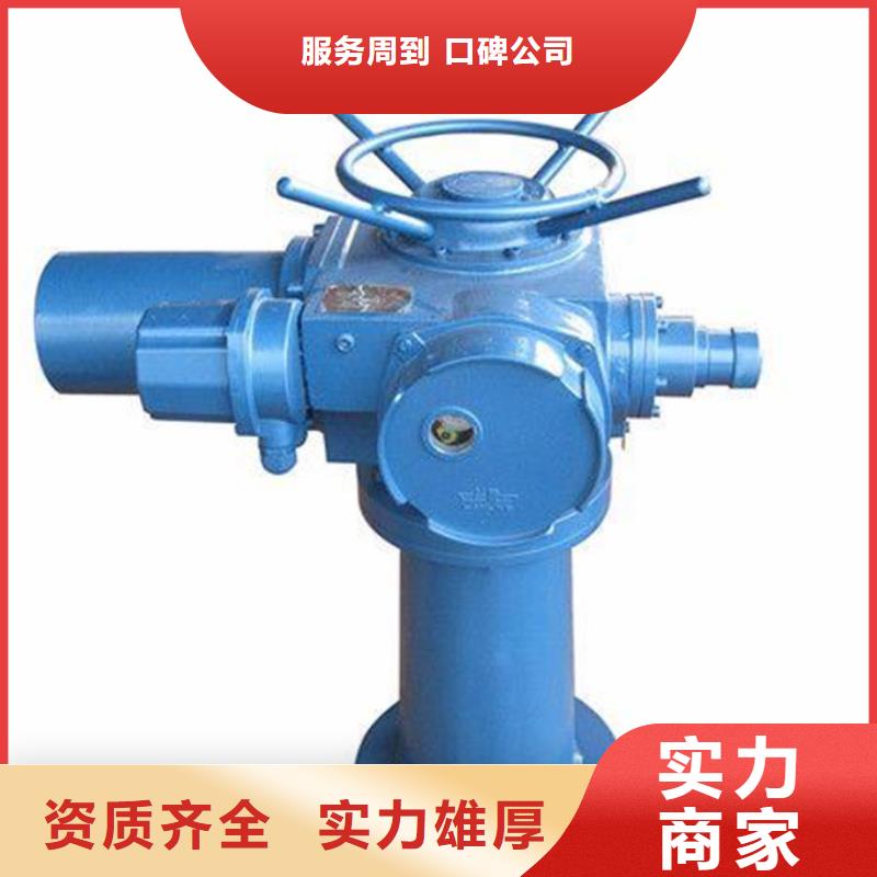 卷扬启闭机电动起闭机售后无忧