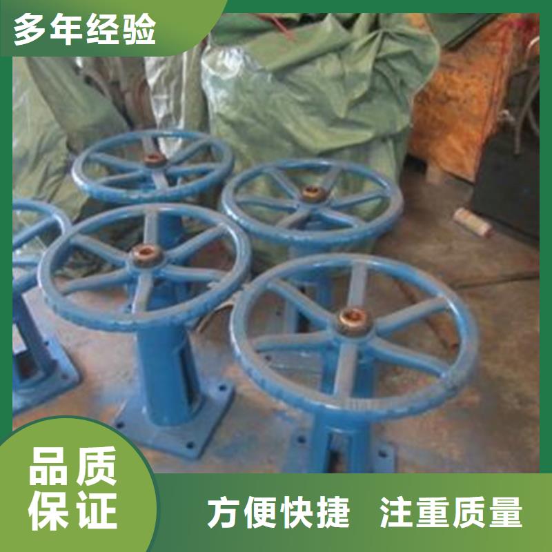 启闭机闸门直连螺杆式启闭机助力绿色水利建设