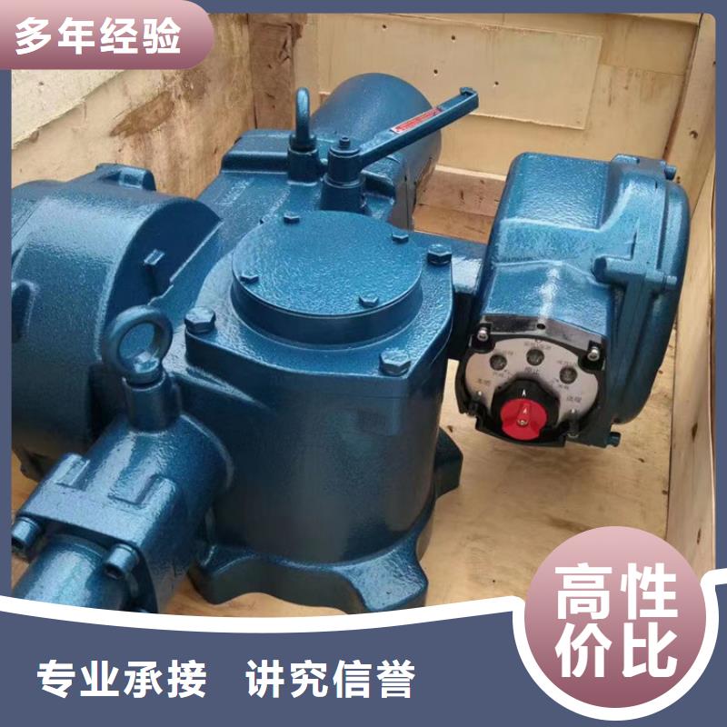 启闭机QL-SD型手电两用启闭机免费安装调试，终身维护！