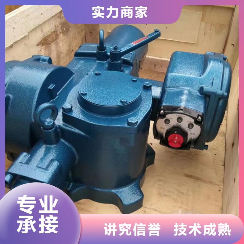 启闭机闸门乐东县手动螺杆启闭机		助力绿色水利建设