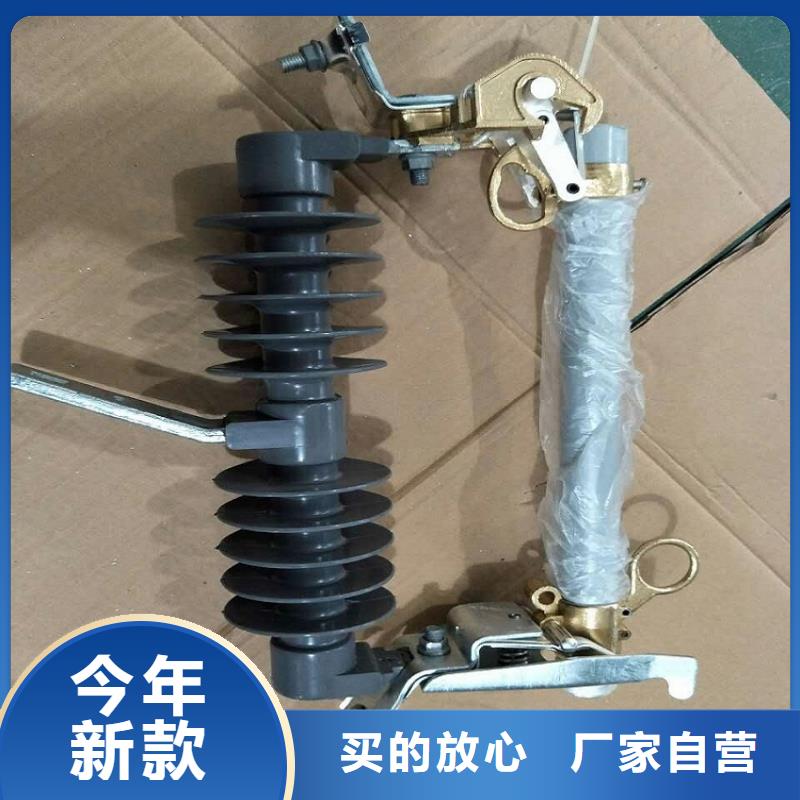 熔断器-绝缘子厂家细节展示