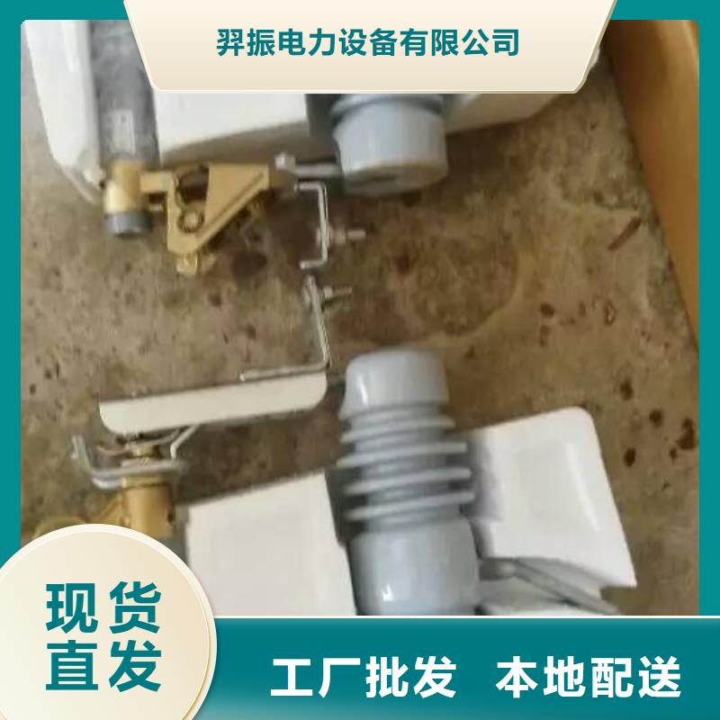 熔断器过电压保护器源厂定制