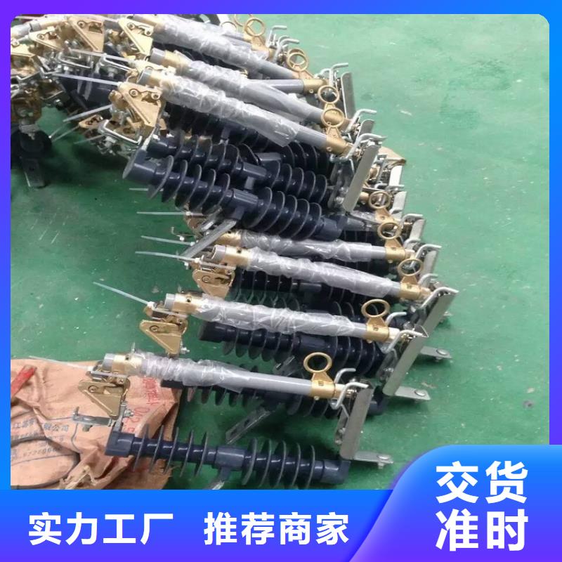 <郏县> 熔断器【金属氧化物避雷器】可放心采购