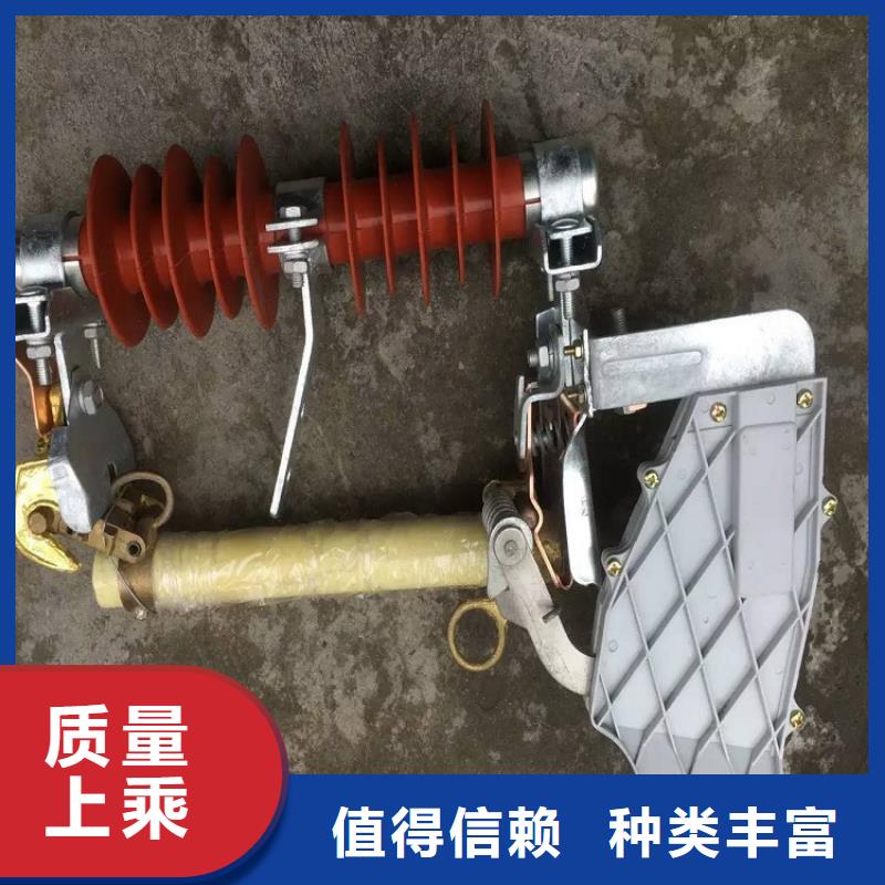 郏县【本地】熔断器【金属氧化物避雷器】可放心采购