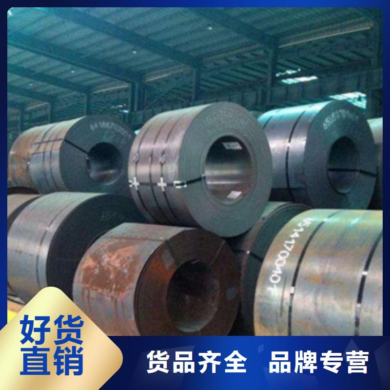 宝钢耐磨系列	NM450E定制