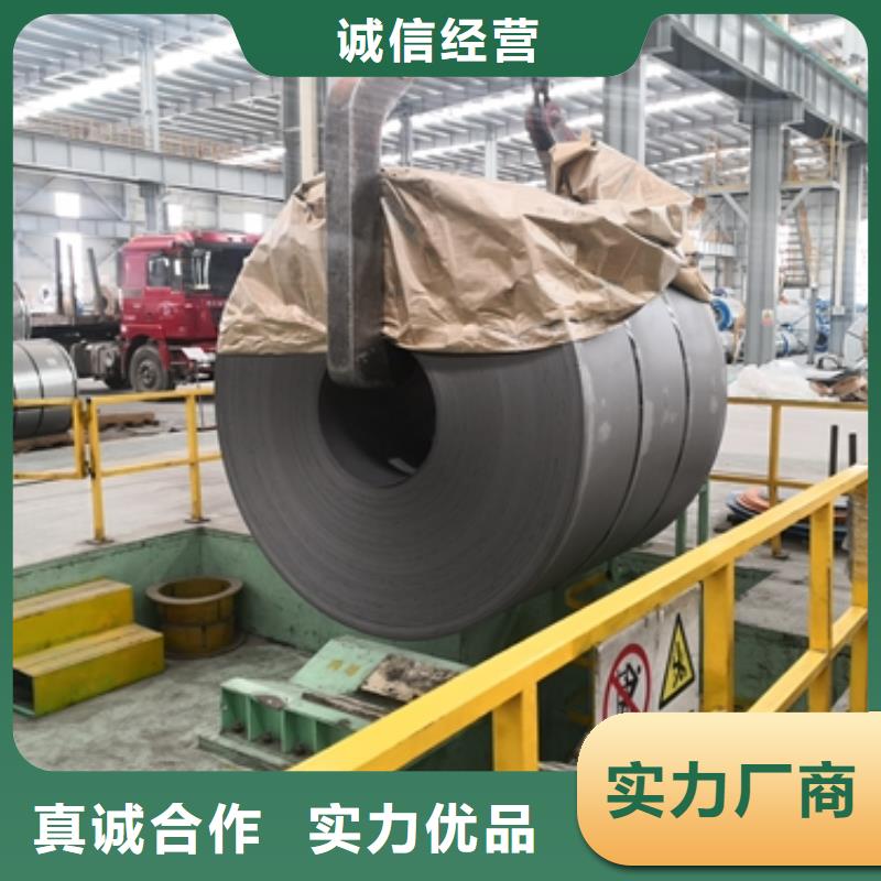 DT4A	电磁纯铁水电钢来厂考察