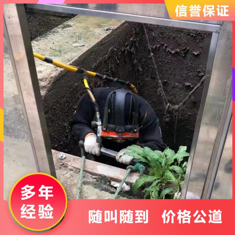 水下潜水录像拍照专业