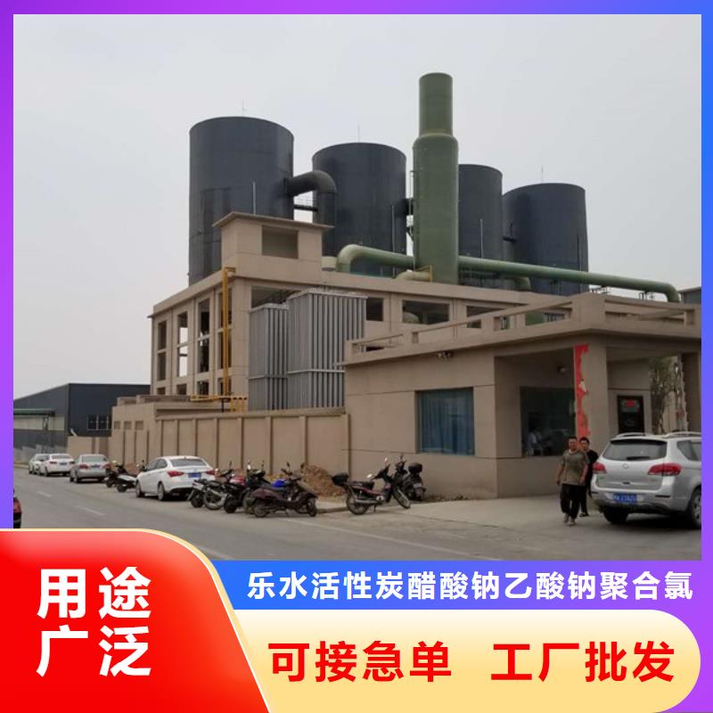 乙酸钠活性炭厂家诚信厂家
