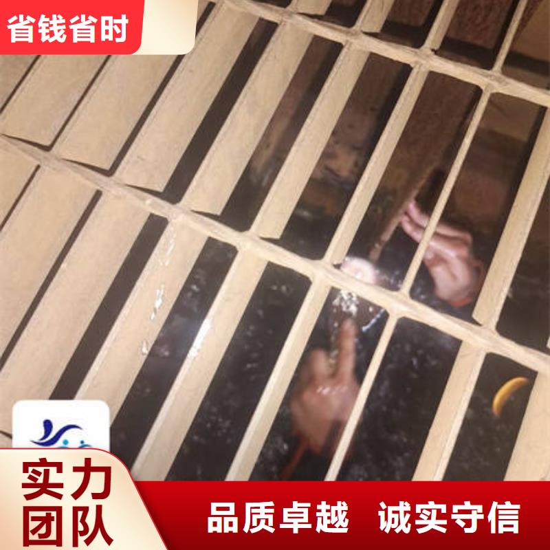 水库检查更专业更放心