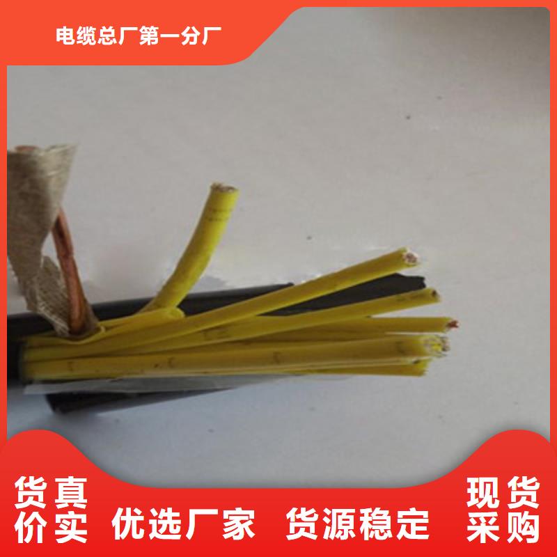 【控制电缆_屏蔽电缆按需定做】