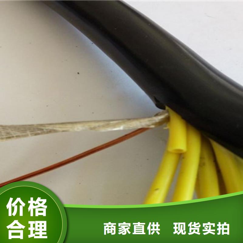 控制电缆信号电缆专注生产N年
