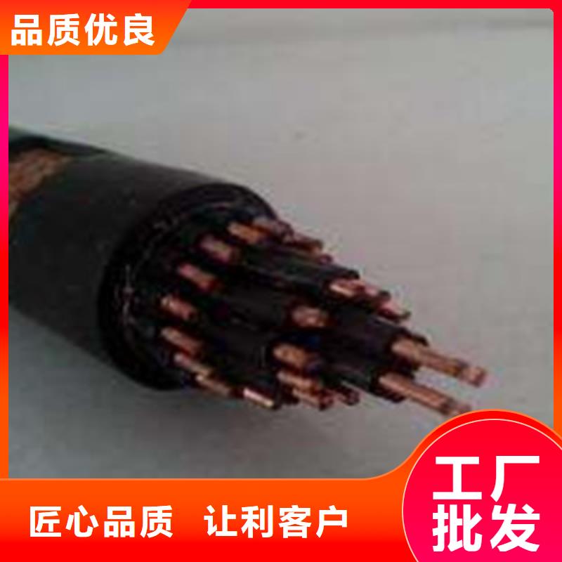 控制电缆屏蔽电缆工期短发货快