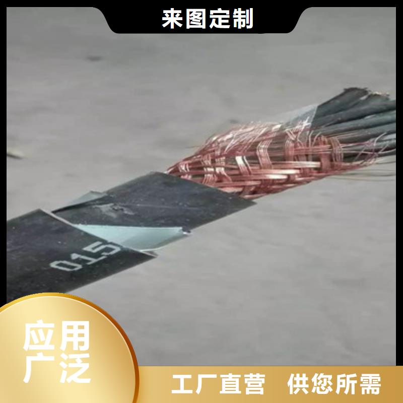 控制电缆信号电缆可定制有保障