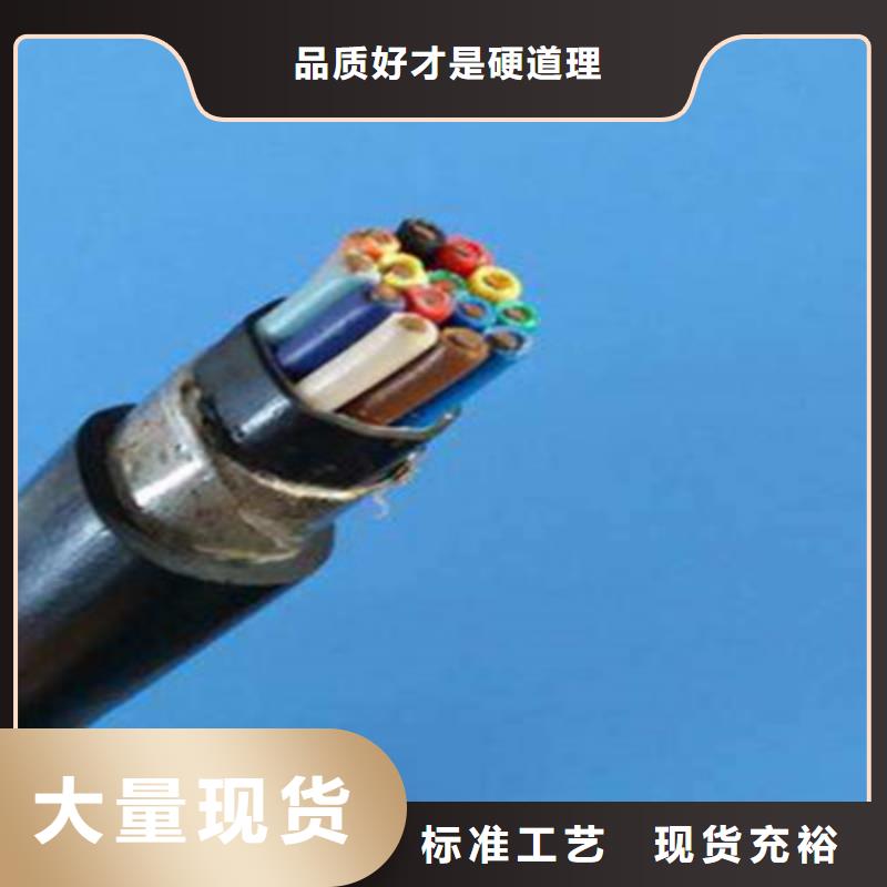 控制电缆屏蔽电缆懂您所需