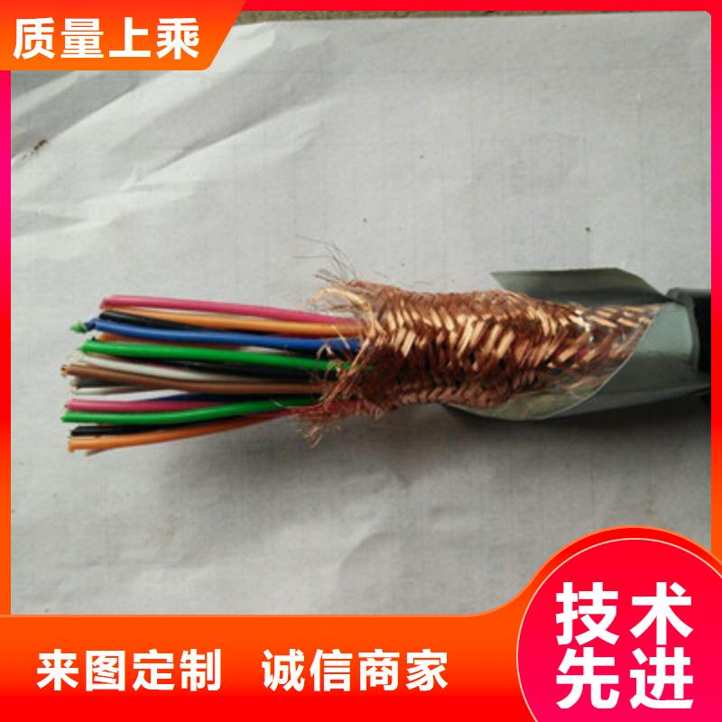 控制电缆屏蔽电缆懂您所需