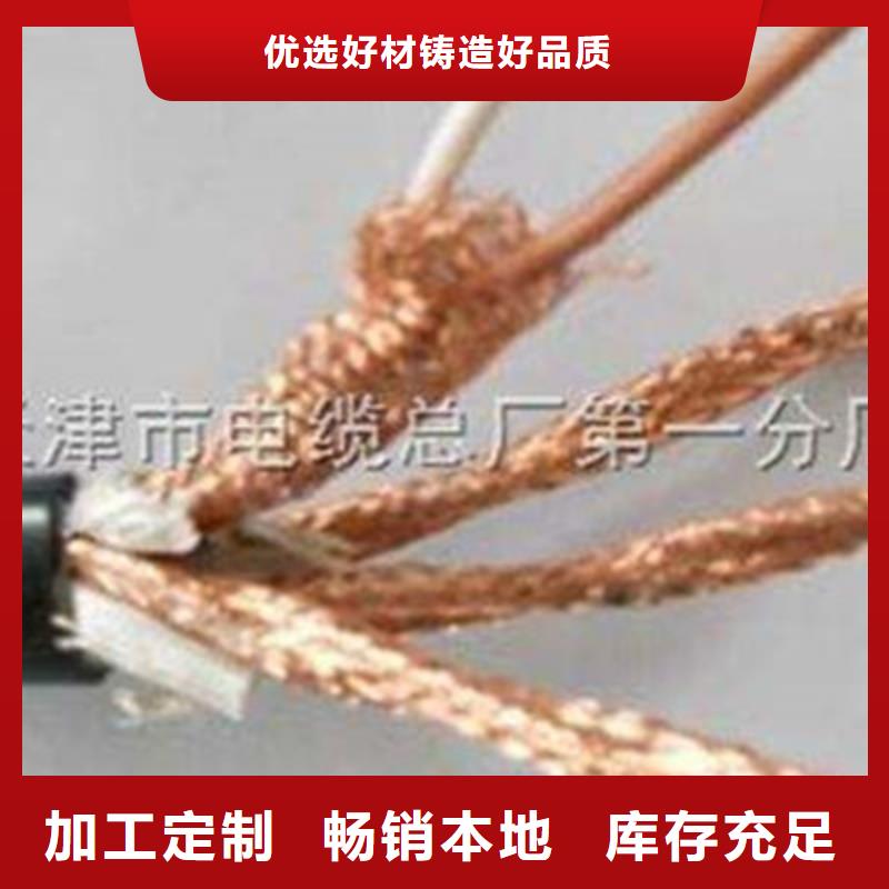 耐高温电缆本安防爆电缆专业的生产厂家