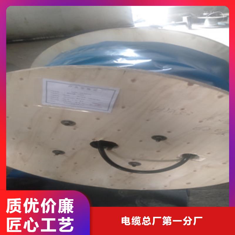 耐高温电缆屏蔽电缆品质做服务