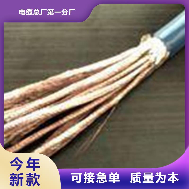 耐高温电缆屏蔽电缆定制批发