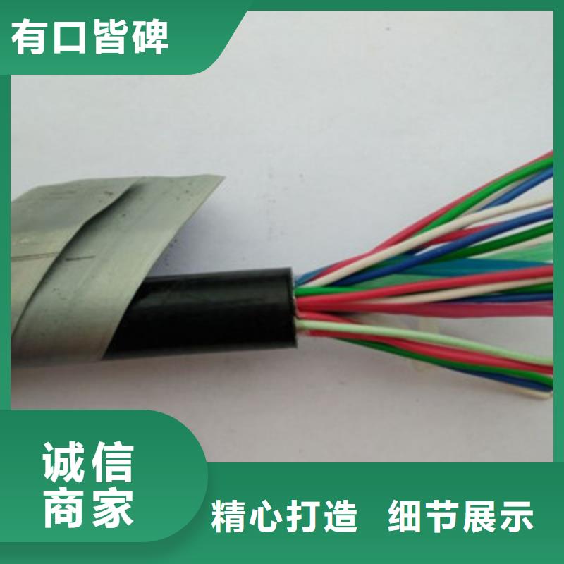 【铁路信号电缆信号电缆可定制】