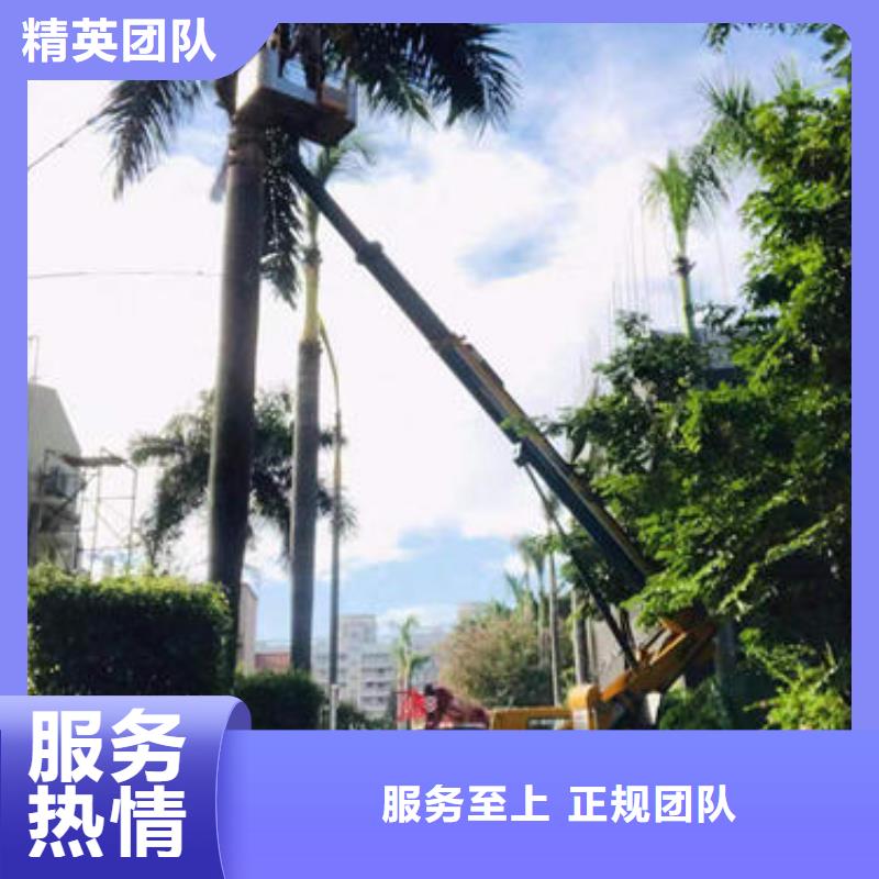 珠海市南屏镇大型高空车出租型号齐全
