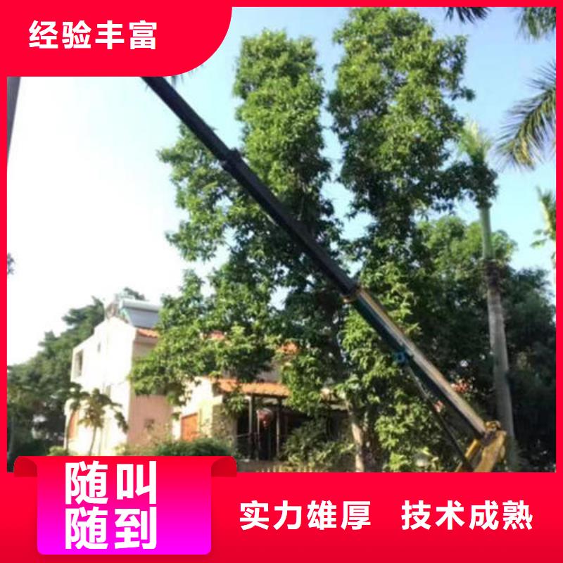 广东省汕头马滘街道升降车高空作业车口碑好