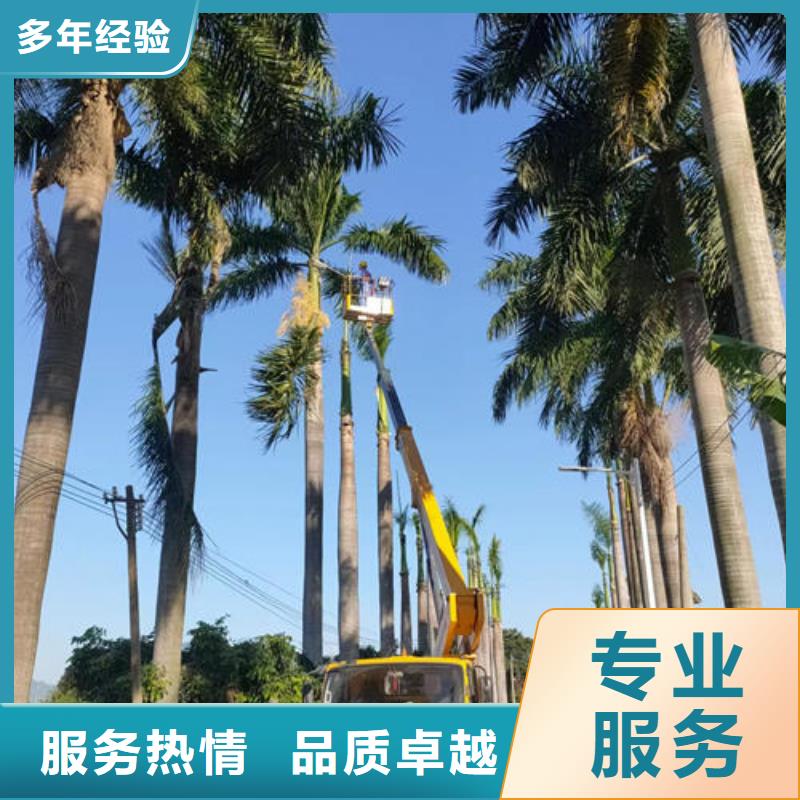 佛山市大塘镇高空平台出租一天多少钱