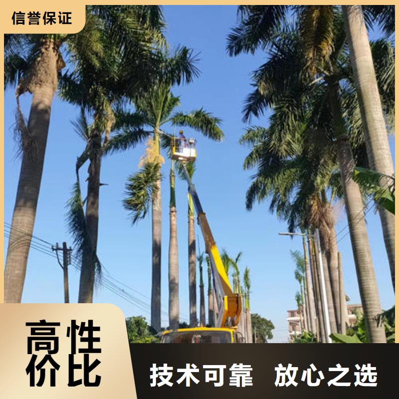 广东佛山市大良街道伸缩臂高空作业升降车口碑好
