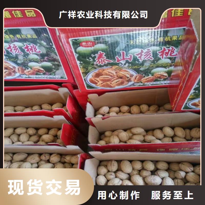 核桃苗,樱桃苗信誉至上
