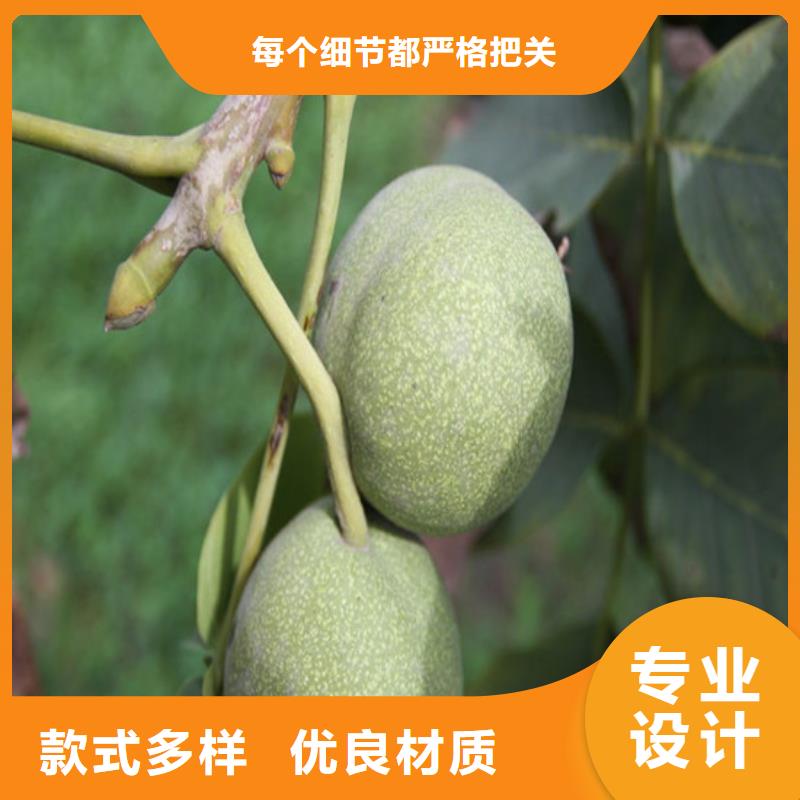 核桃苗葡萄苗严格把控质量
