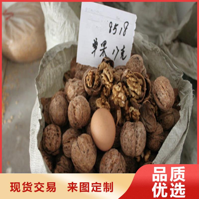 核桃苗蜂糖李子树苗支持大批量采购