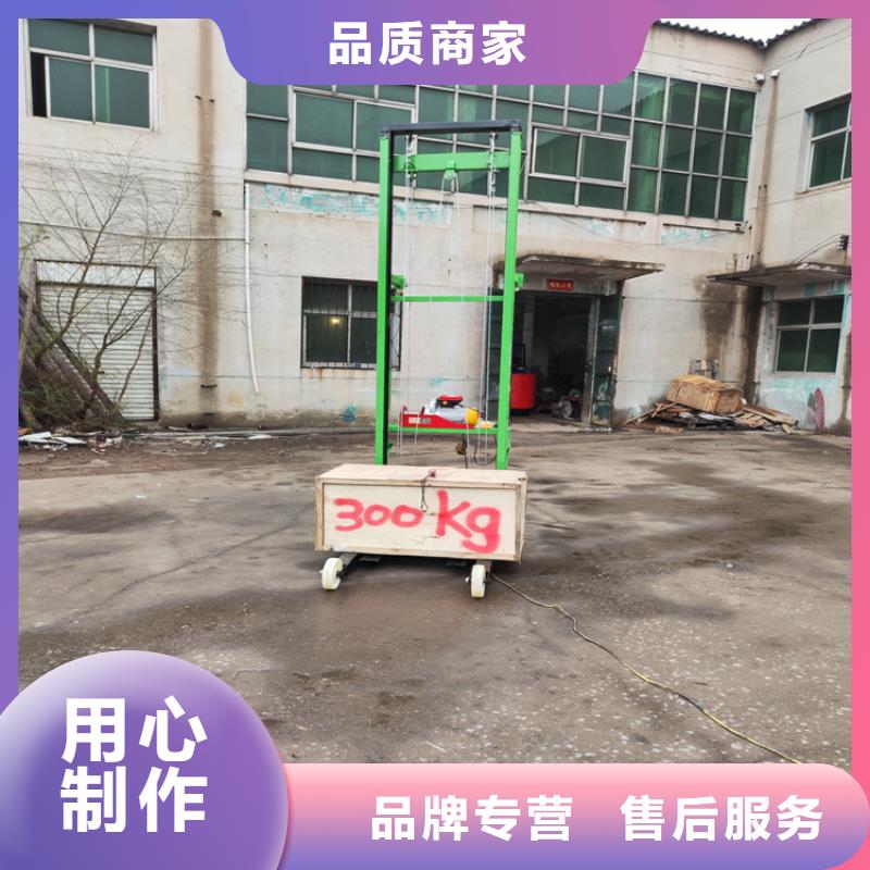 电动上砖机经验丰富品质可靠