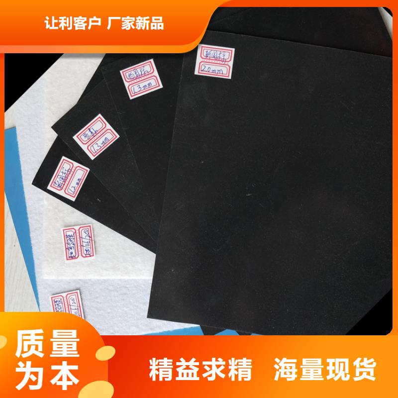 土工膜土工格栅信誉至上