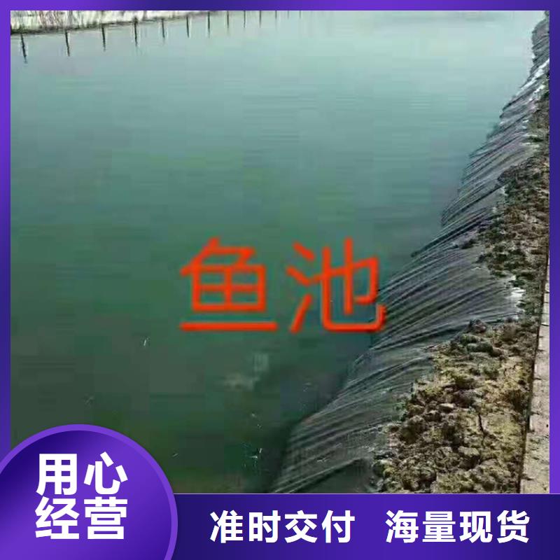 土工膜真实拍摄品质可靠