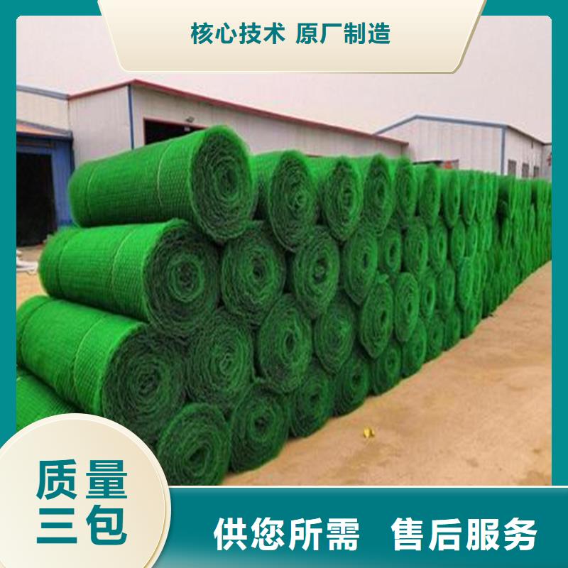 三维植被网-HDPE土工膜源头采购