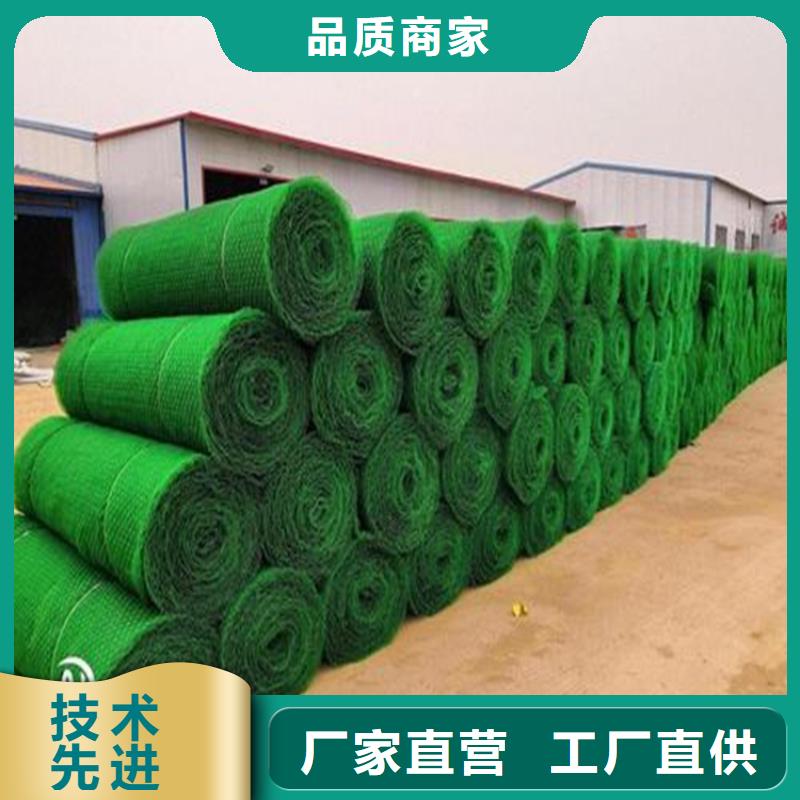 【三维植被网】膨润土防水毯优选好材铸造好品质
