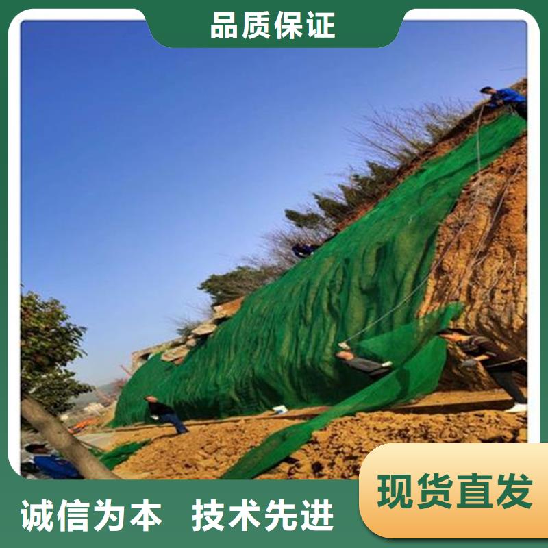 三维植被网【防草布】来电咨询