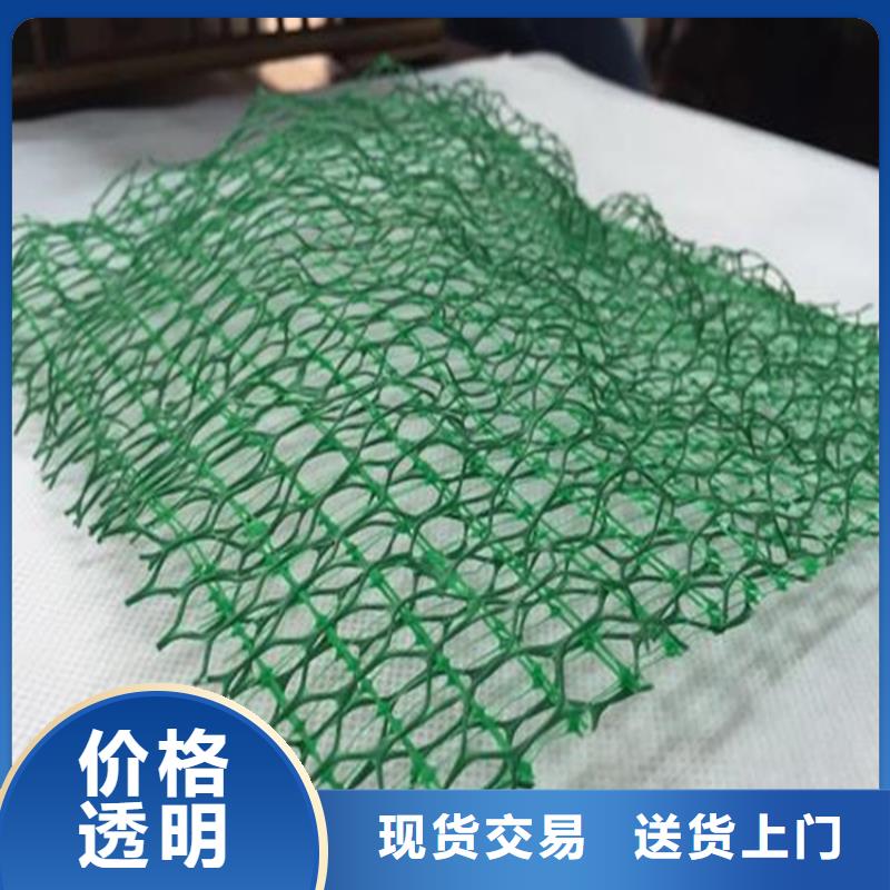 三维植被网-HDPE土工膜源头采购