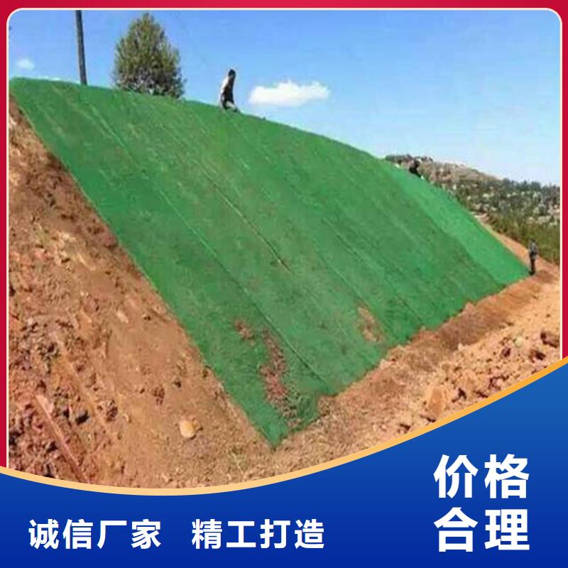 三维植被网土工格栅免费寄样