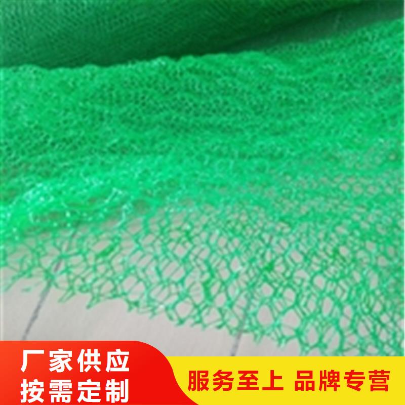 三维植被网土工格栅免费寄样
